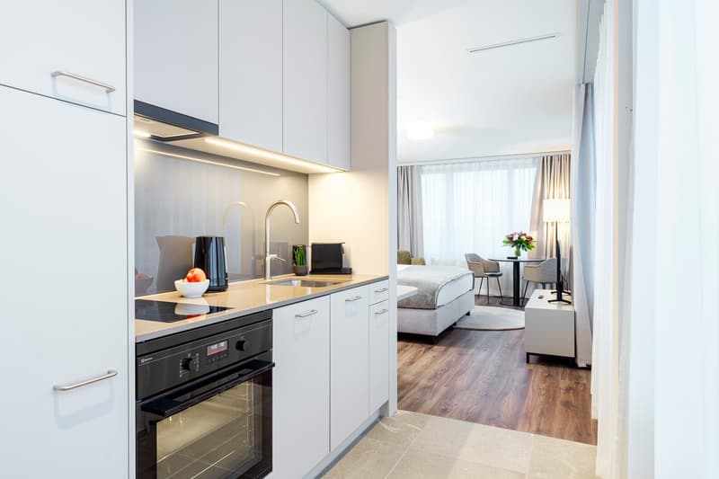 Studio Apartment Suite möbiliert in Cham (Zug), Papieri-Areal (1)