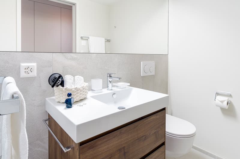 2-Zimmer Apartment Superior Suite möbiliert in Cham (Zug), Papieri-Areal (3)