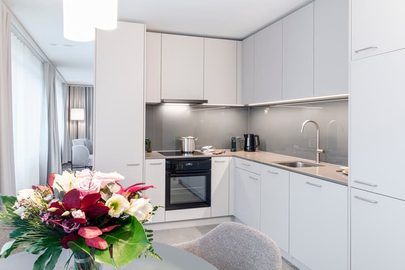 2-Zimmer Apartment Superior Suite möbiliert in Cham (Zug), Papieri-Areal (2)