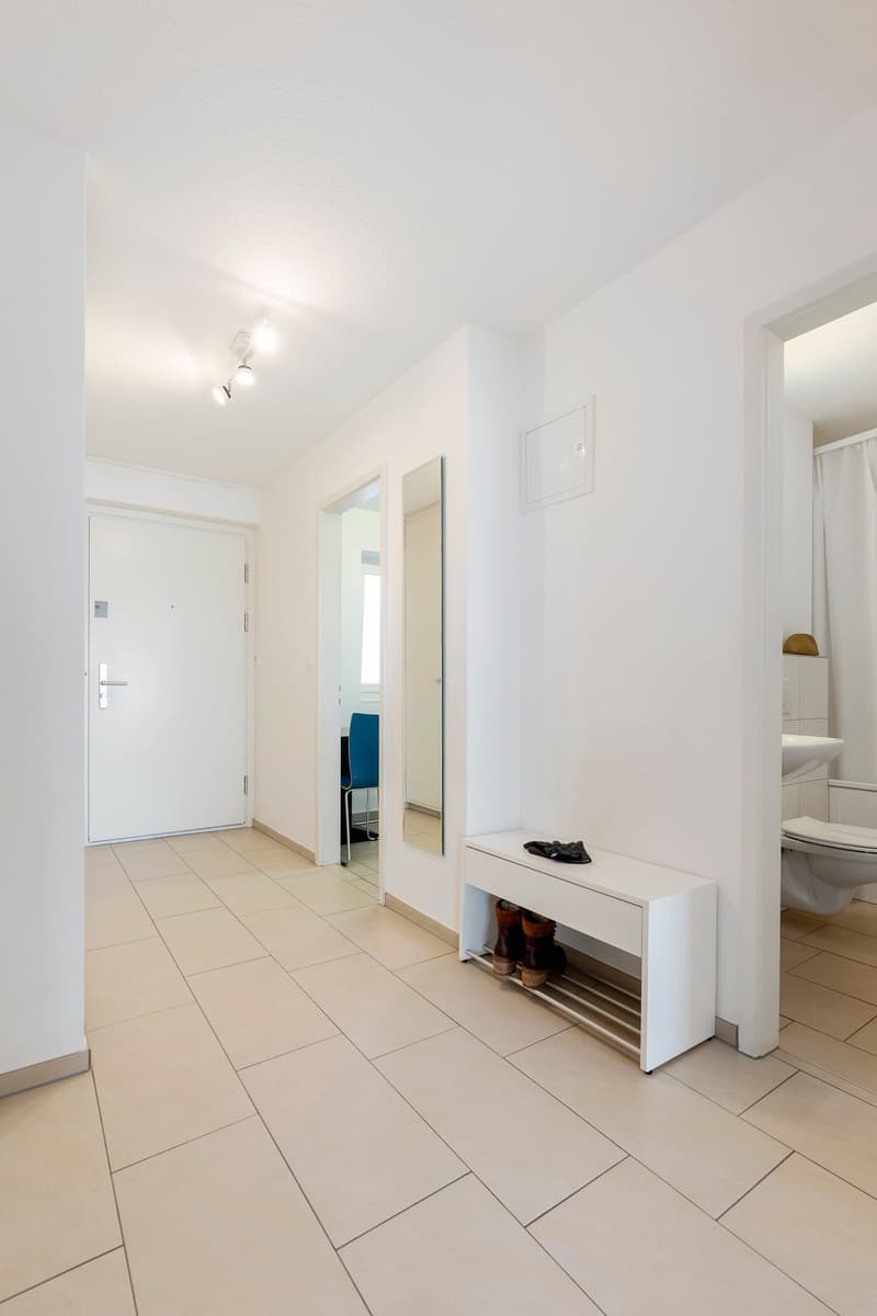 3-Zimmer Apartment mit Balkon möbiliert in Brüttisellen - kinderfreundlich (10)