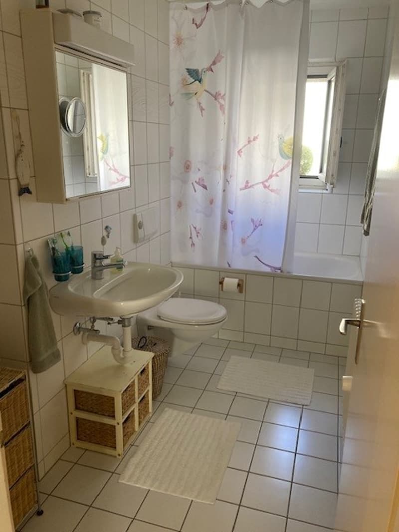 Appartement temporaire près du lac de Zurich (3)