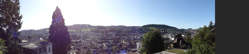 Gemütliche 1-Zimmer-Wohnung im Herzen von St. Gallen (1)