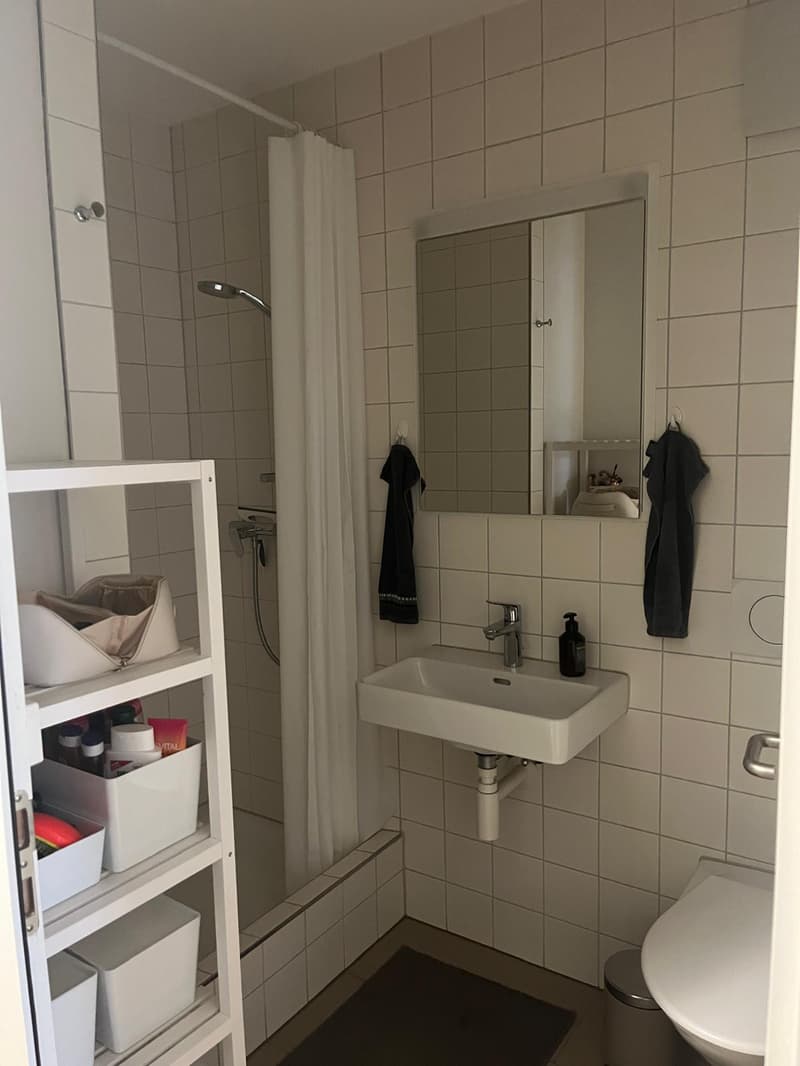 Gemütliche 1-Zimmer-Wohnung im Herzen von St. Gallen (3)