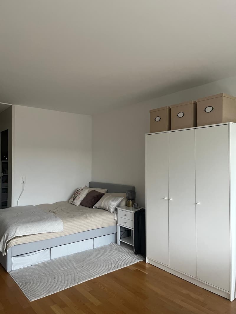 Gemütliche 1-Zimmer-Wohnung im Herzen von St. Gallen (7)