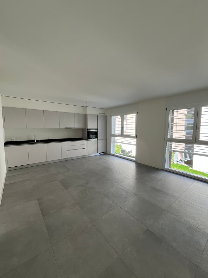 MODERNO APPARTAMENTO 2,5 locali a CLARO (3)