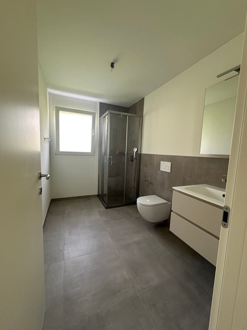 APP n 11 Appartamento di 3 locali con vista montagna a Iragna (7)
