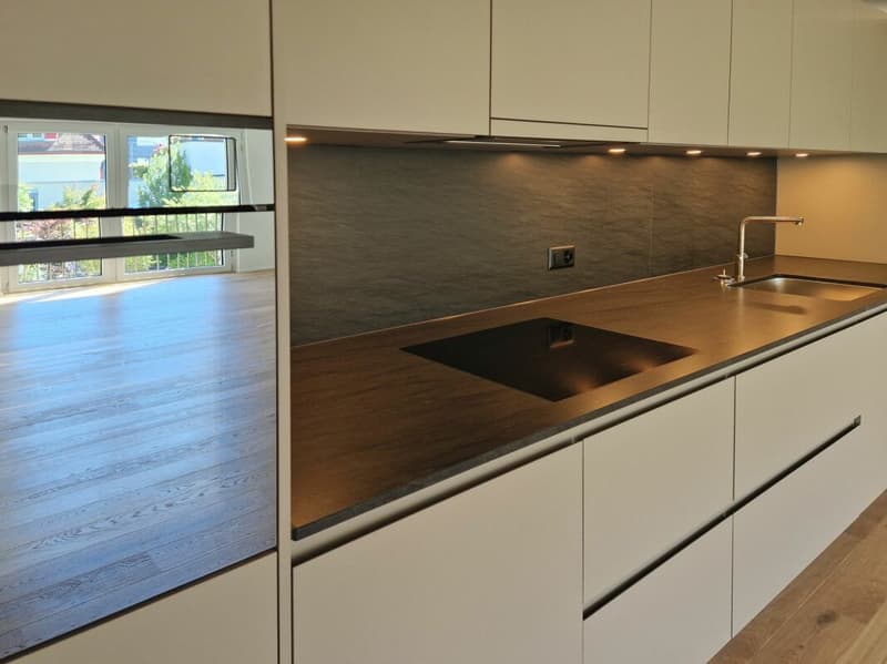 Vita urbana, residenza rilassata: appartamento di proprietà moderno di 4,5 locali al 1° piano (5)