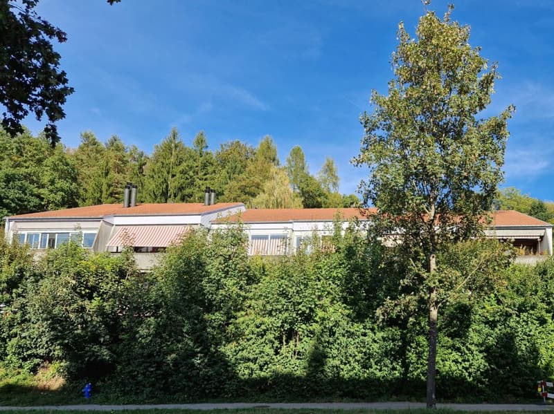 Attraktive Gelegenheit: 4.5 Zimmerwohnung mit Garten (1)