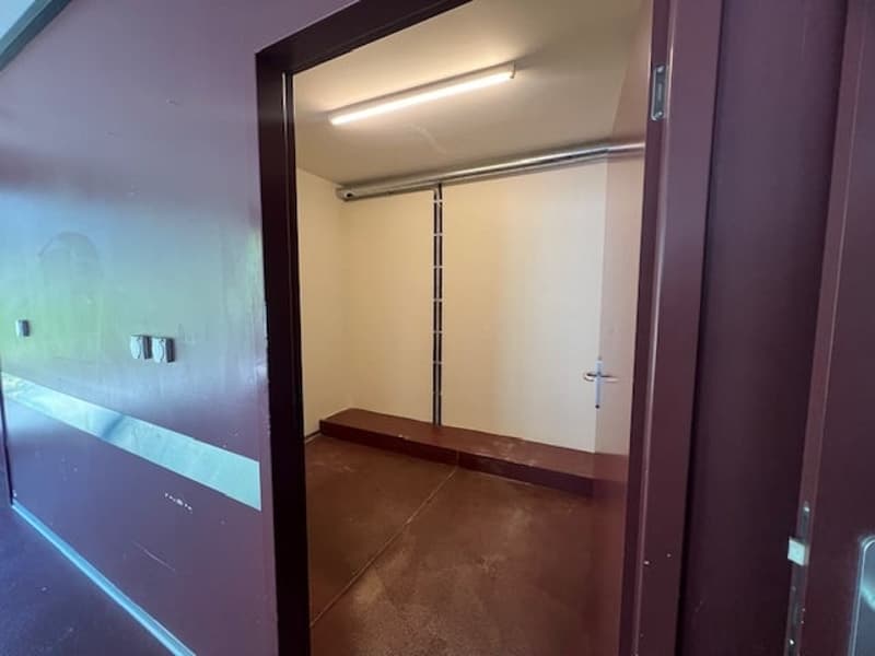 Attraktive Gewerbefläche im Hunziker-Areal (8)