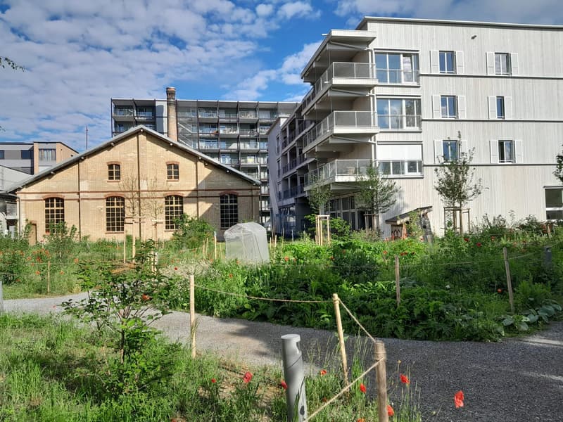 Gemeinsam wohnen, selbstorganisiert leben – neue Cluster-Gemeinschaft gesucht (1)