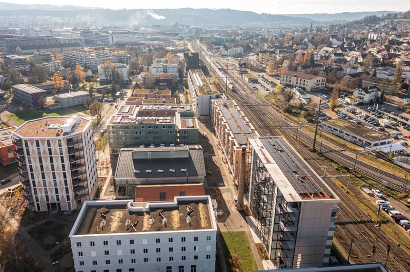 3.5-Zimmer-Genossenschaftswohnung im autoarmen Quartier – für 2 Personen (1)