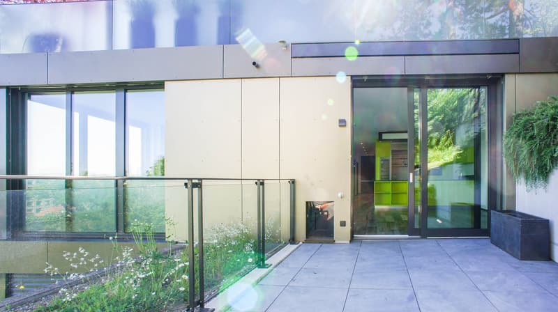 Living with overwhelming panoramic views (24)