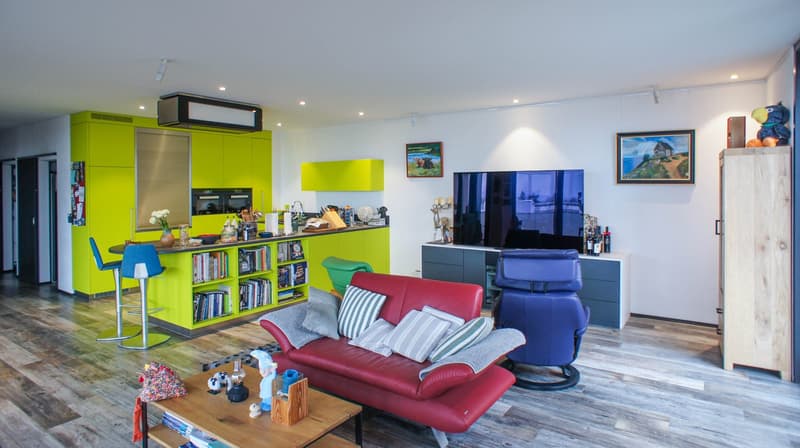 Living with overwhelming panoramic views (15)