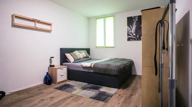 Grand appartement 5.5 pièces dans une ferme rénovée (9)