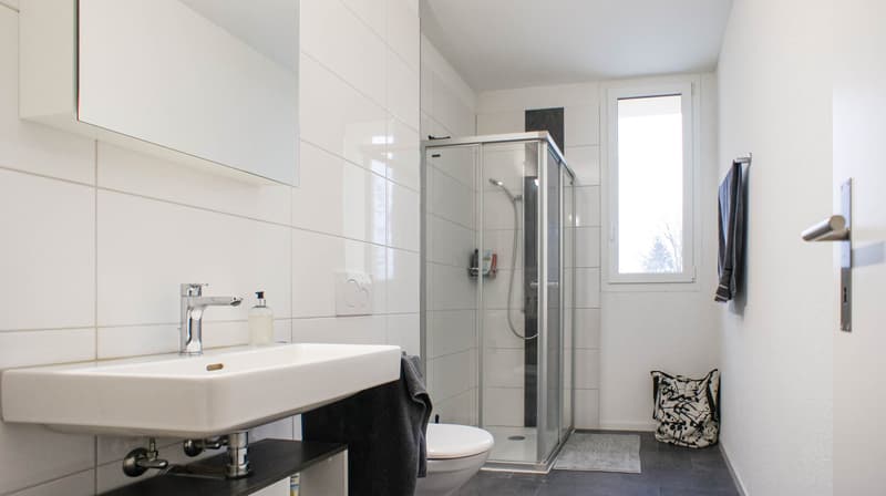 Grand appartement 5.5 pièces dans une ferme rénovée (10)