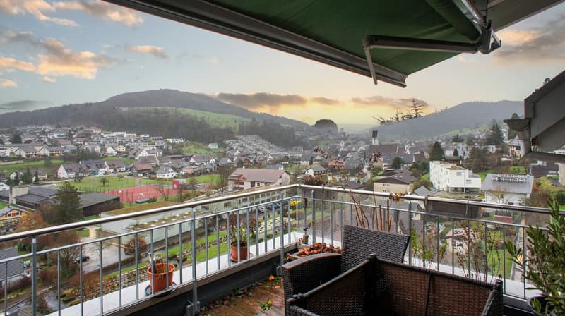Grand appartement 5.5 pièces dans une ferme rénovée (1)