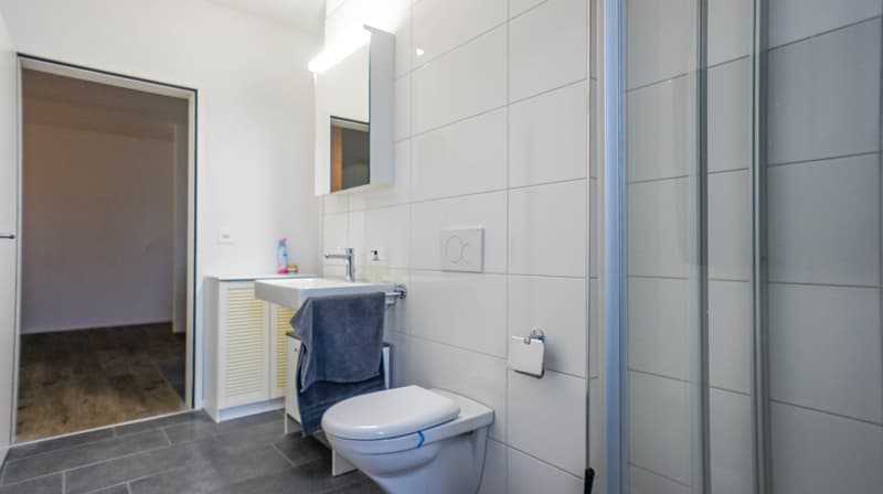 Grand appartement 5.5 pièces dans une ferme rénovée (11)