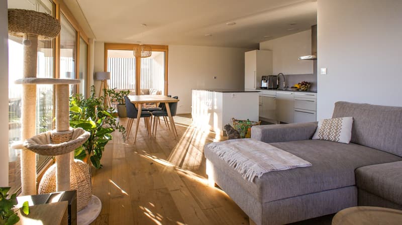 Appartamento moderno 3.5 locali con una vista meravigliosa (13)