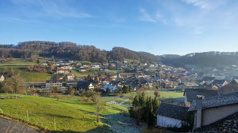 Appartamento moderno 3.5 locali con una vista meravigliosa (17)