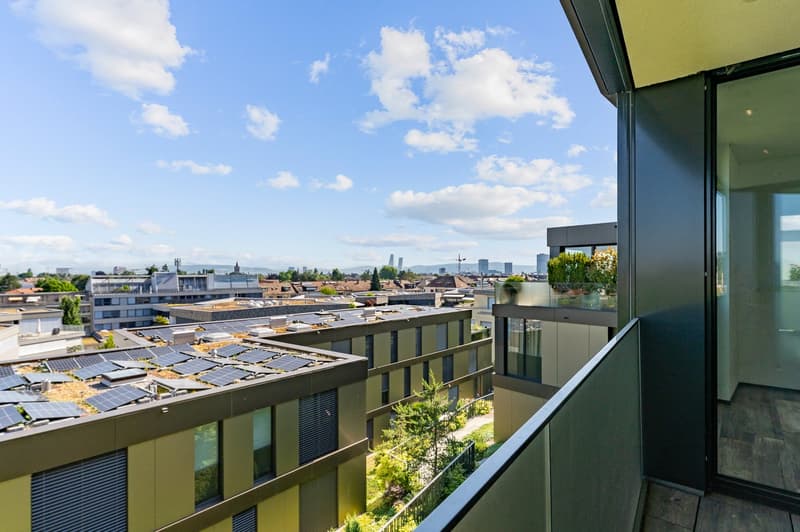 Vivre avec une vue panoramique accablante (20)