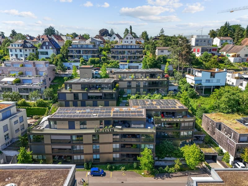 Vivre avec une vue panoramique accablante (22)