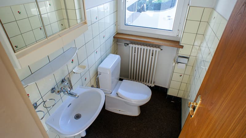 Grosses EFH mit Pool und sehr grossem Garten (6)
