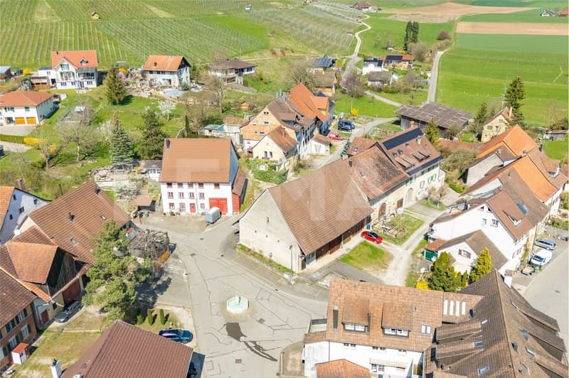 Garage / Cadastral No. 100 for sale in Trasadingen (6)