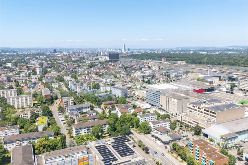 Einziehen oder investieren, 3.5-Zimmer-Wohnung in Muttenz (11)