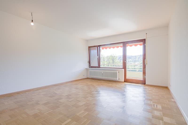 2-Zimmer Wohnung mit Rheinblick zur Miete in Rheinheim (2)