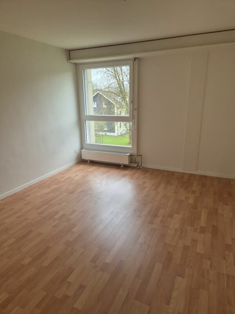 1 mois gratuit - appartement de 4,5 pièces rénové, 3e étage (4)