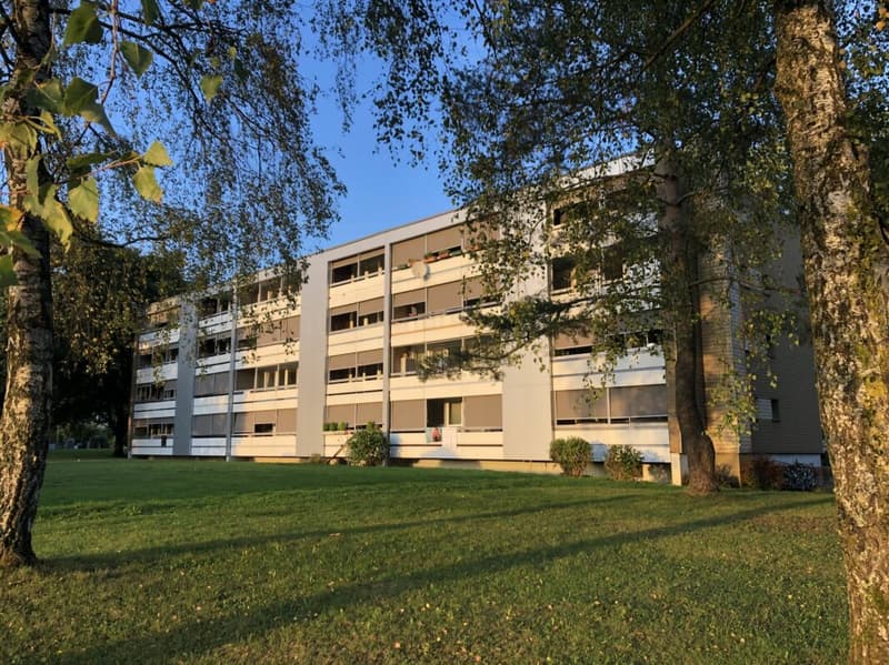 1 mois gratuit - appartement de 4,5 pièces rénové, 3e étage (9)