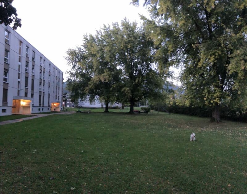 1 mois gratuit - appartement de 4,5 pièces rénové, 3e étage (7)
