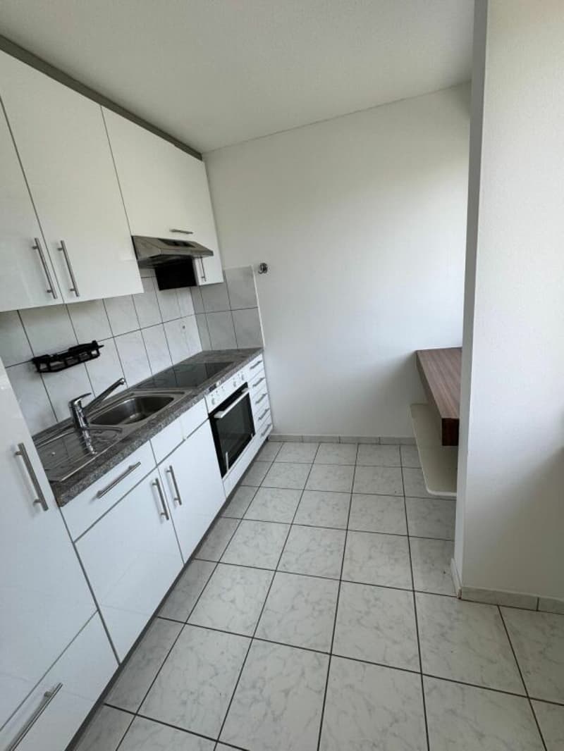Spacious 3.5-room apartment with beautiful views (4)