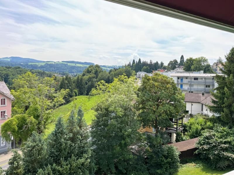 Spacious 3.5-room apartment with beautiful views (10)