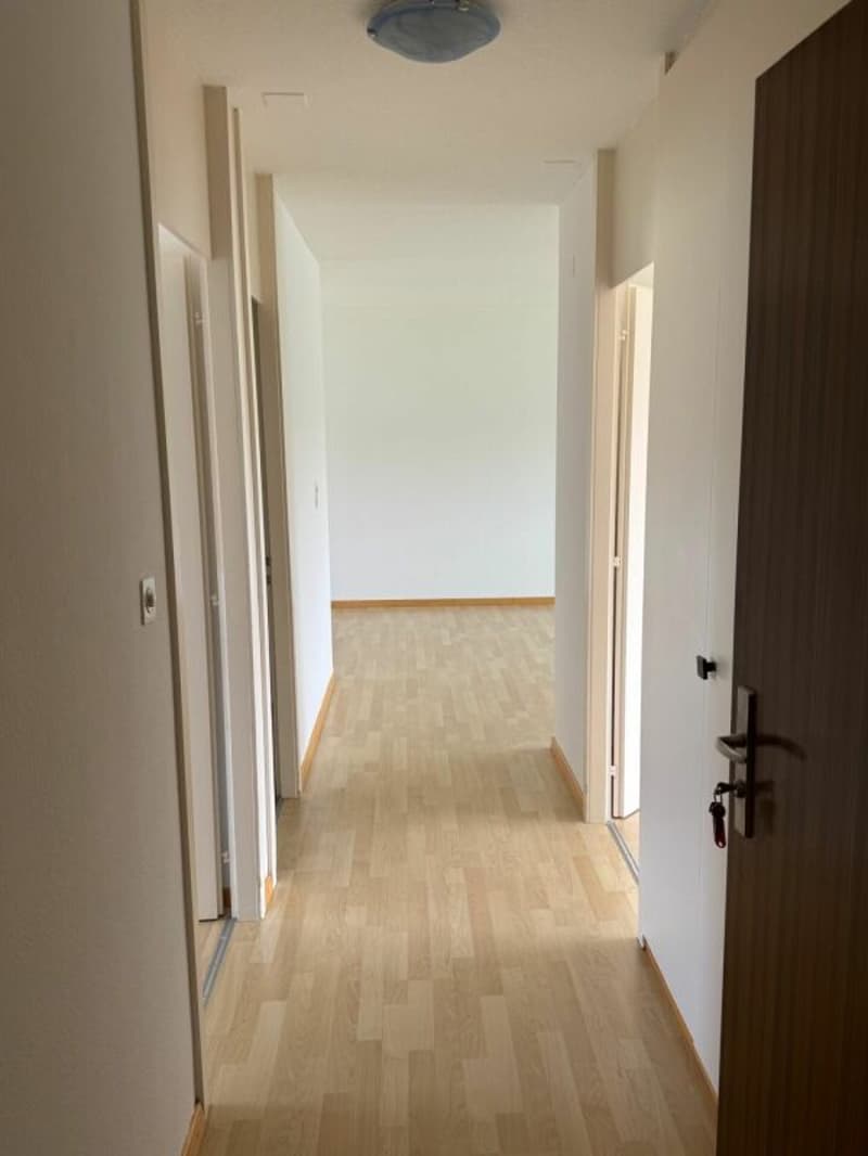 Spacious 3.5-room apartment with beautiful views (2)