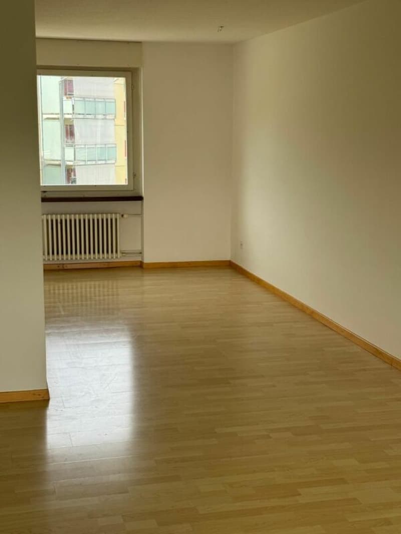 Spacious 3.5-room apartment with beautiful views (8)