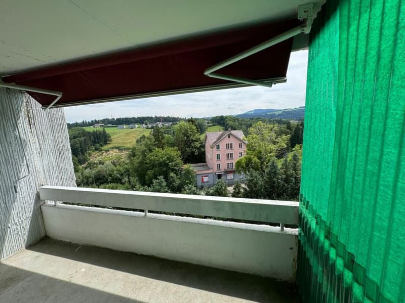 Spacious 3.5-room apartment with beautiful views (9)