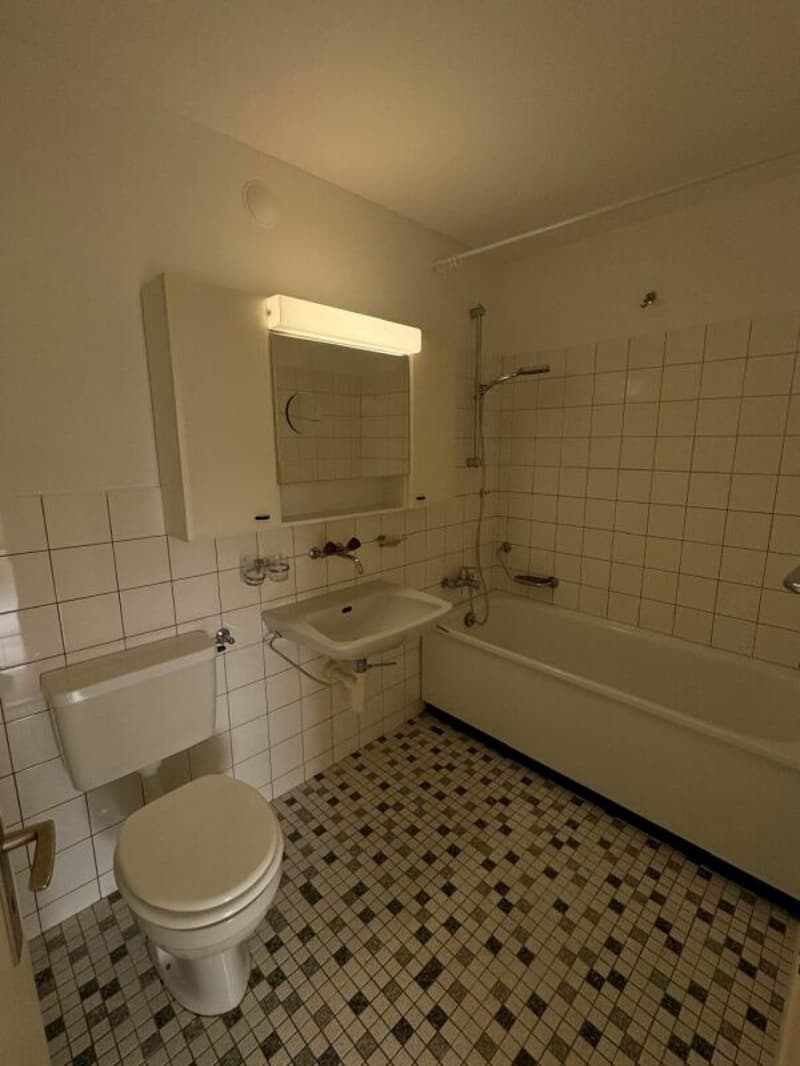 Spacious 3.5-room apartment with beautiful views (7)