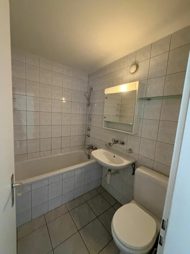 Ampio duplex di 3,5 locali in una posizione idilliaca (8)