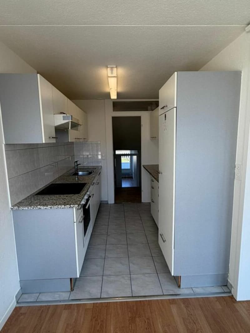 Ampio duplex di 3,5 locali in una posizione idilliaca (2)