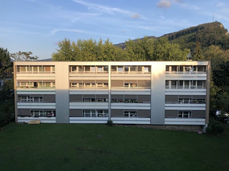 4.5 rooms 2nd floor evening sun (9)