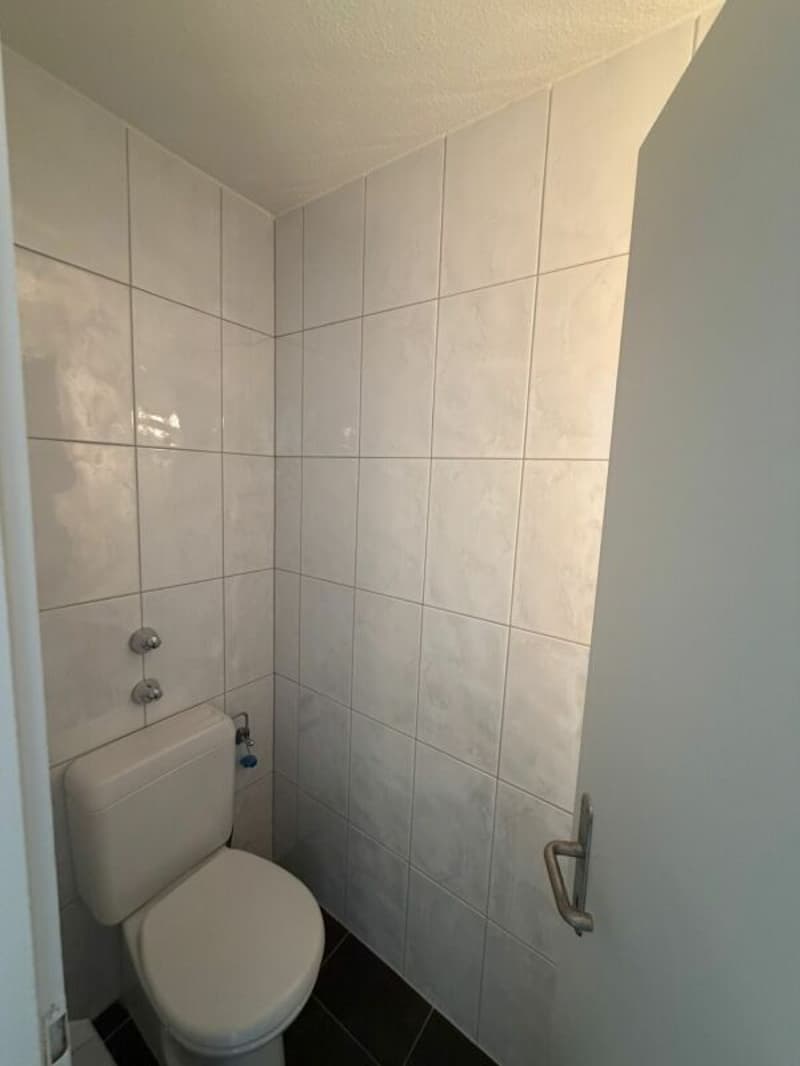 Appartamento di 4,5 locali con vista mozzafiato in affitto immediato! (9)