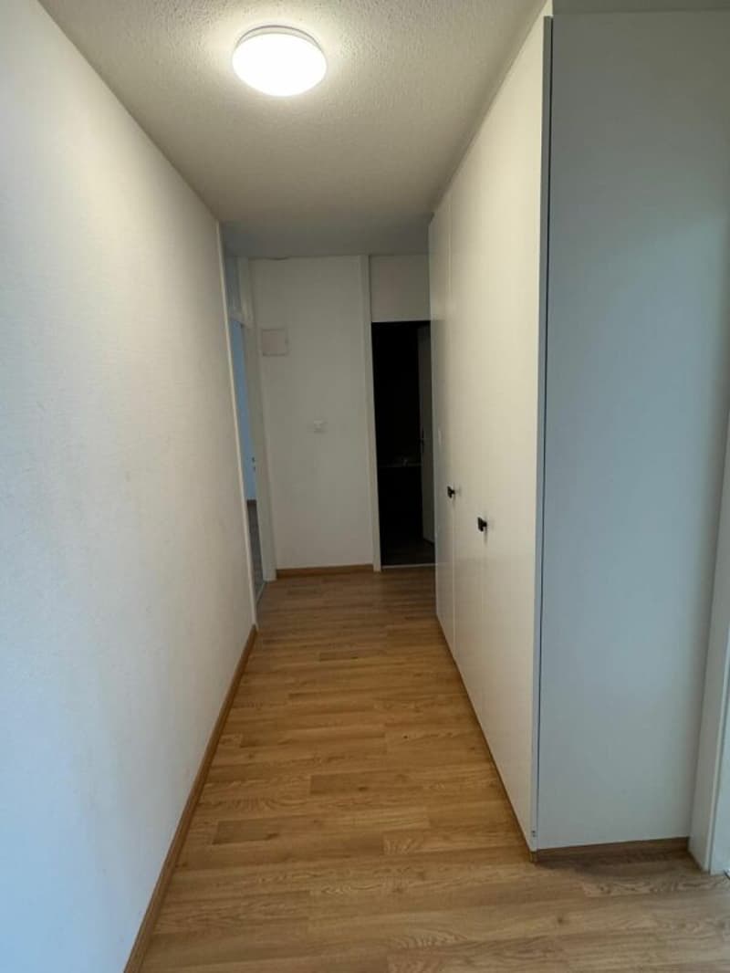Appartement 3 pièces neuf à Wittenbach (2)