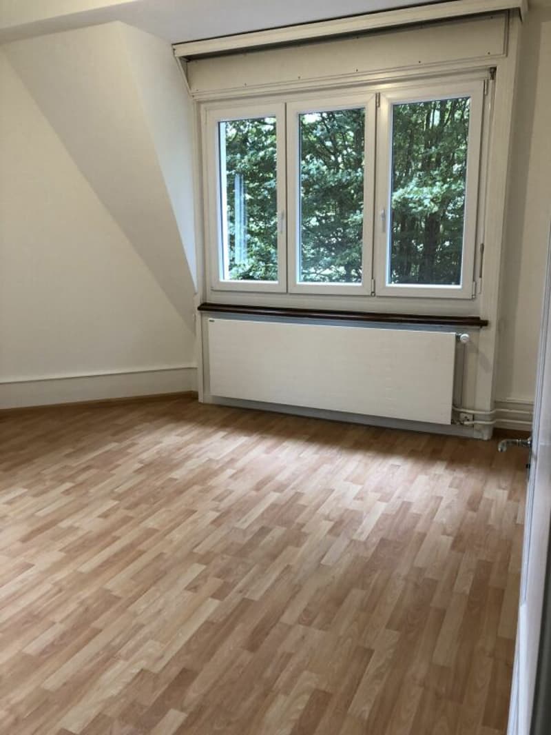 Appartement de 5,5 pièces sous les toits dans une ancienne maison de patricien (7)