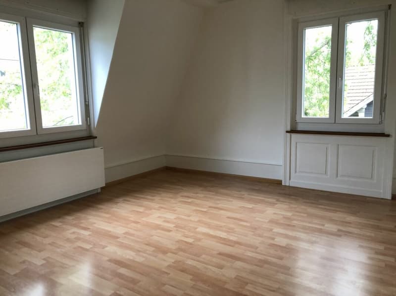 Appartement de 5,5 pièces sous les toits dans une ancienne maison de patricien (6)