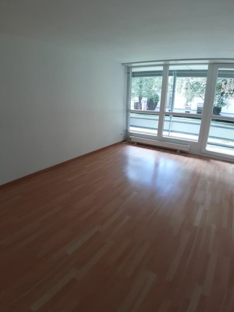 Appartement 5.5 pièces 1er étage balcon avec soleil du soir (4)