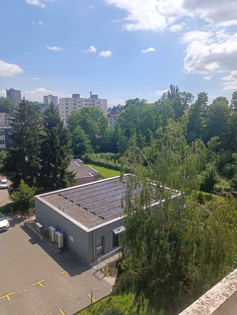 Grande appartamento familiare di 3.5 locali Spazioso, luminoso e ben situato! (11)