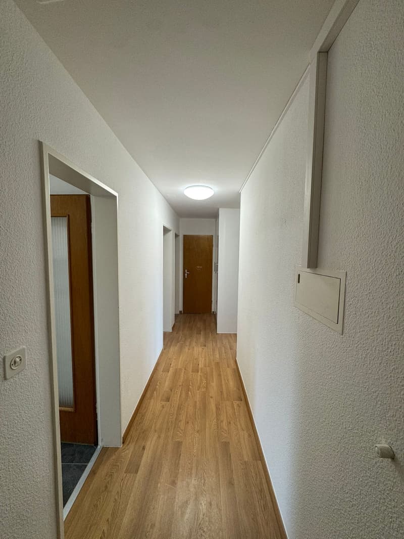 Grande appartamento familiare di 3.5 locali Spazioso, luminoso e ben situato! (6)