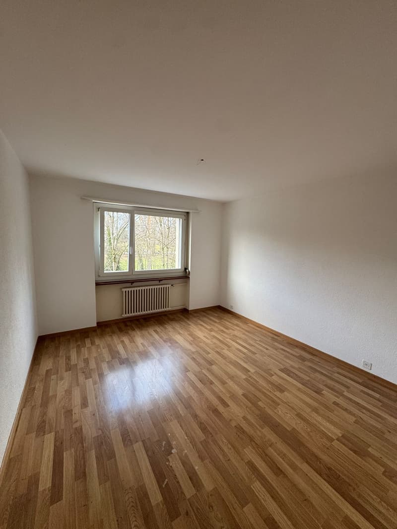 Grande appartamento familiare di 3.5 locali Spazioso, luminoso e ben situato! (8)