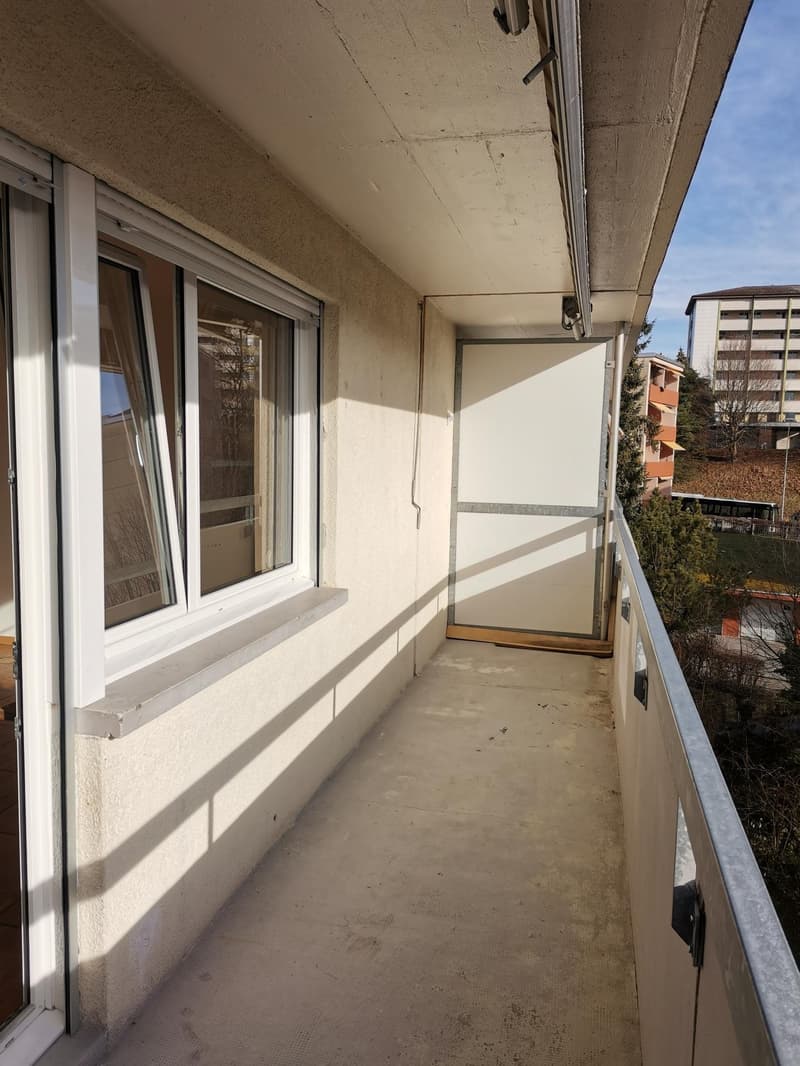 Grande appartamento familiare di 3.5 locali Spazioso, luminoso e ben situato! (10)